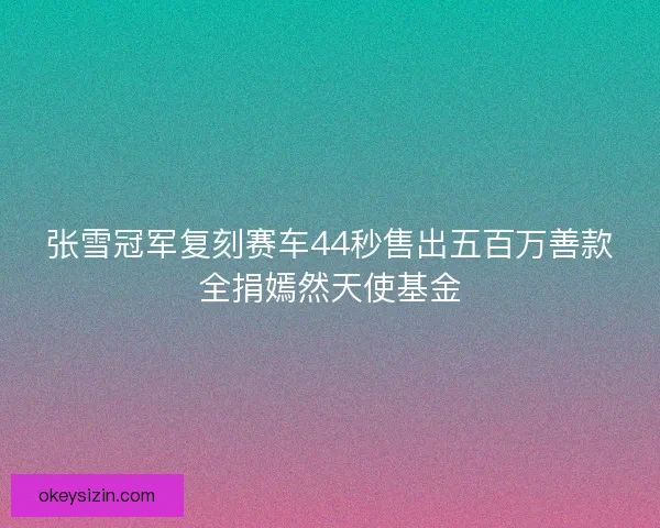 张雪冠军复刻赛车44秒售出五百万善款全捐嫣然天使基金